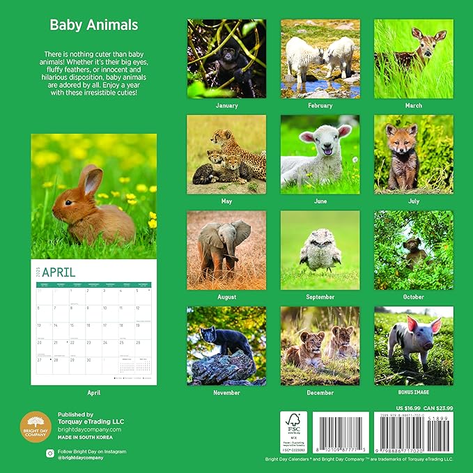 2025 Baby Animals Monthly Wall Calendar by Bright Day, Includes Over 300 Stickers, 12 x 12 Inch