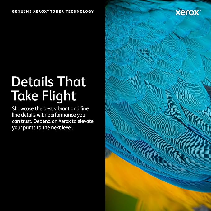 Xerox Genuine C410 Black Standard Capacity Toner Cartridge (2,400 Pages) -006R04677