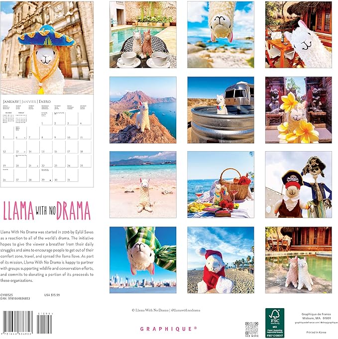 Graphique 2025 Llama with No Drama Wall Calendar | 12” x 12” | Thick Paper | Home & Office Organizer | Large Monthly Grid | 3 Languages & Marked Holidays | 4 Month Preview Page for 2026