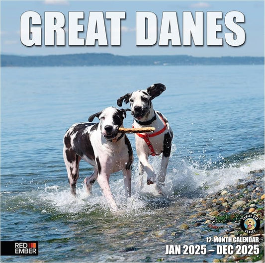 RED EMBER Great Danes 2025 Wall Calendar 12 Month | 12" x 24" Open | Thick & Sturdy Paper | Giftable | Calendar 2025