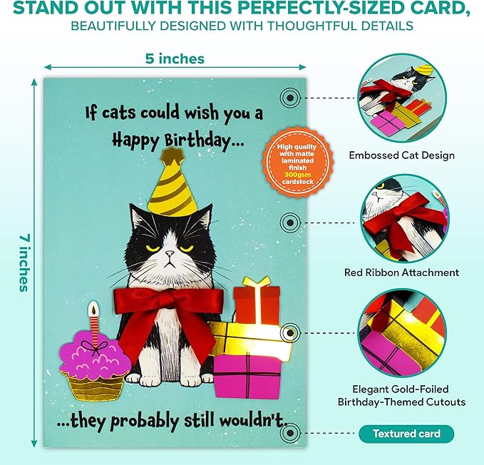 Decorably Gold-Foiled 5x7in Individual Funny Cat Birthday Card with Birthday-Themed Cutouts and Ribbon, Textured Cat Card Set with Envelope and Stickers, with Printed Message Inside