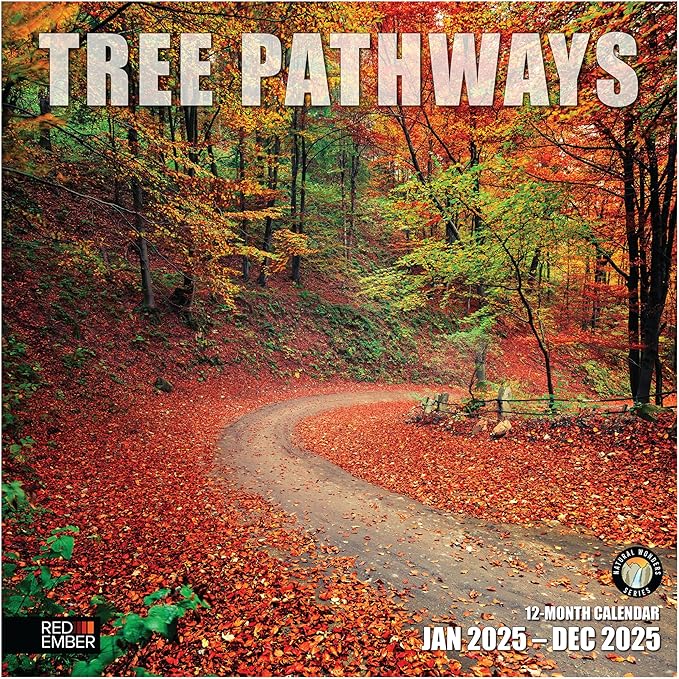 RED EMBER Tree Pathways 2025 Wall Calendar 12 Month | 12" x 24" Open | Thick & Sturdy Paper | Giftable | Calendar 2025