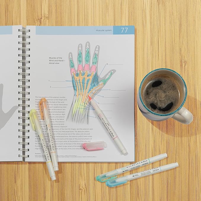 Zebra Pen Mildliner Brush Marker, Double Ended Brush and Fine Tip Pen, Assorted Fluorescent Colors, 5 Pack