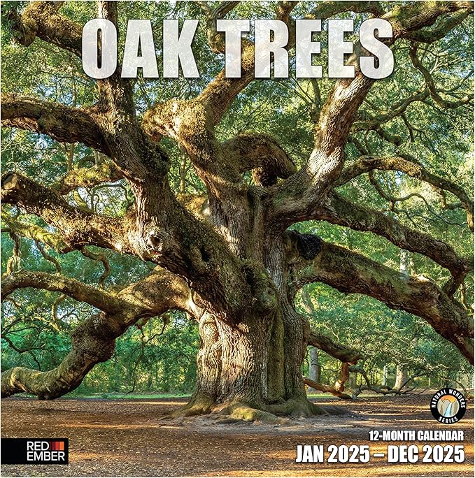 RED EMBER Oak Trees 2025 Wall Calendar 12 Month | 12" x 24" Open | Thick & Sturdy Paper | Giftable | Calendar 2025